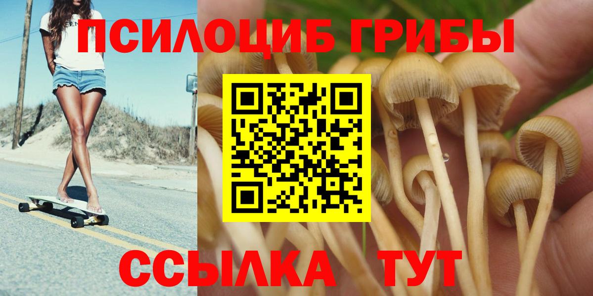 Псилоцибиновые грибы прущие грибы Гусиноозёрск